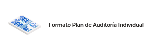 Formato Plan de Auditor&iacute;a Individual